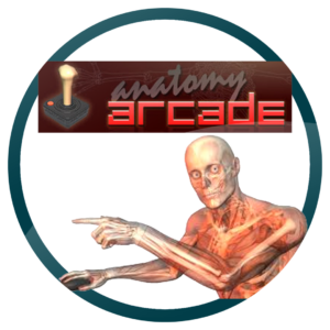 anatomy arcade